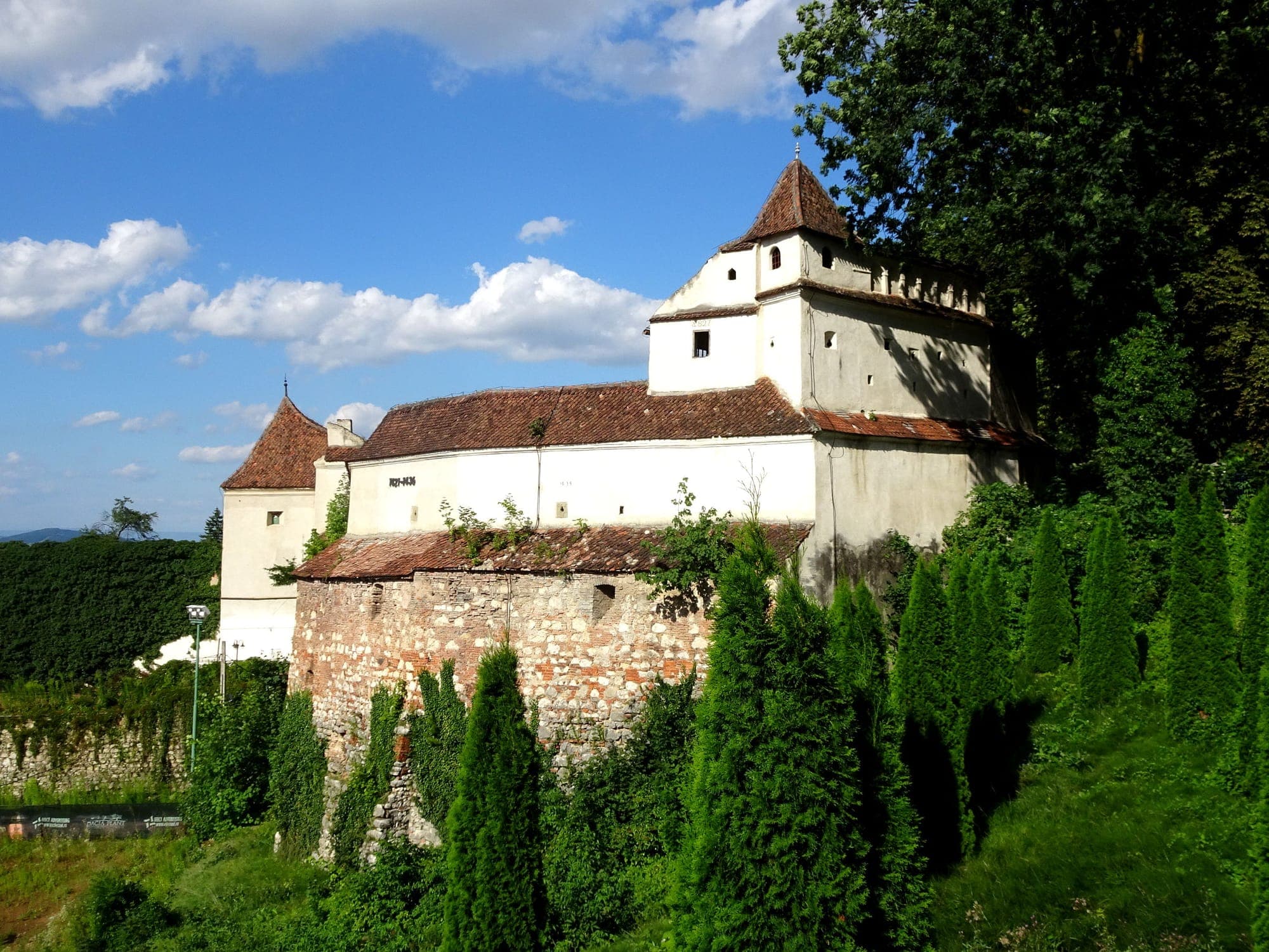 Die Bastei im Sommer, vom Hang der Zinne aus gesehen, mit Thujen vor der Steinmauer