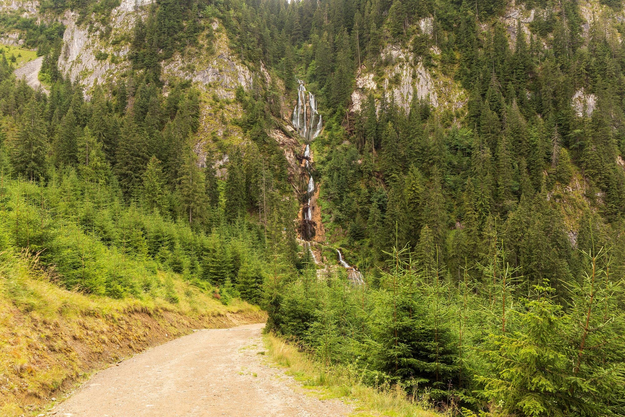 Cascada Cailor căzând în trepte pe peretele de calcar împădurit, văzută de pe drumul forestier de la baza ei