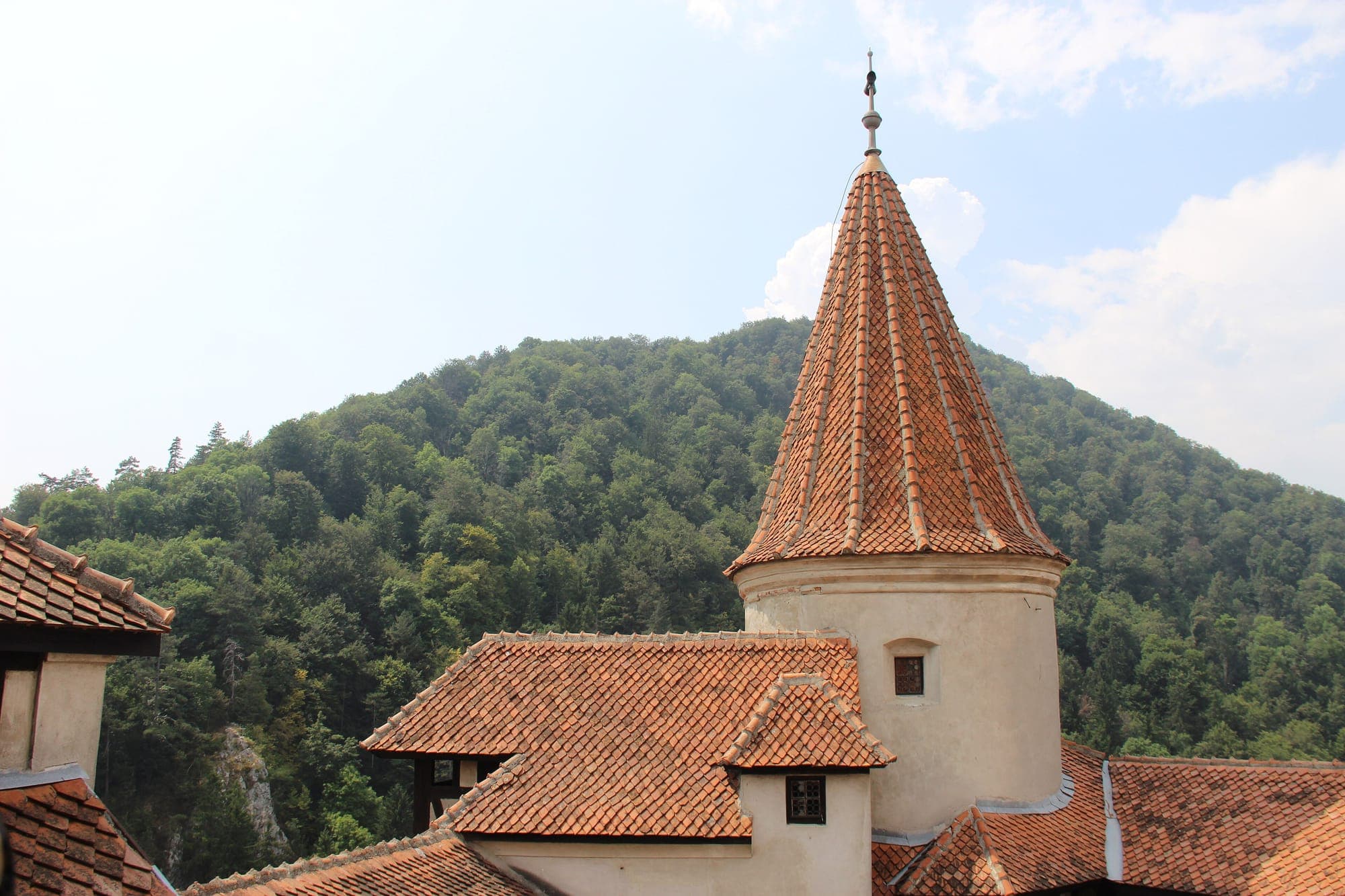 Acoperișul conic din țiglă al turnului rotund, cu dealul împădurit în fundal