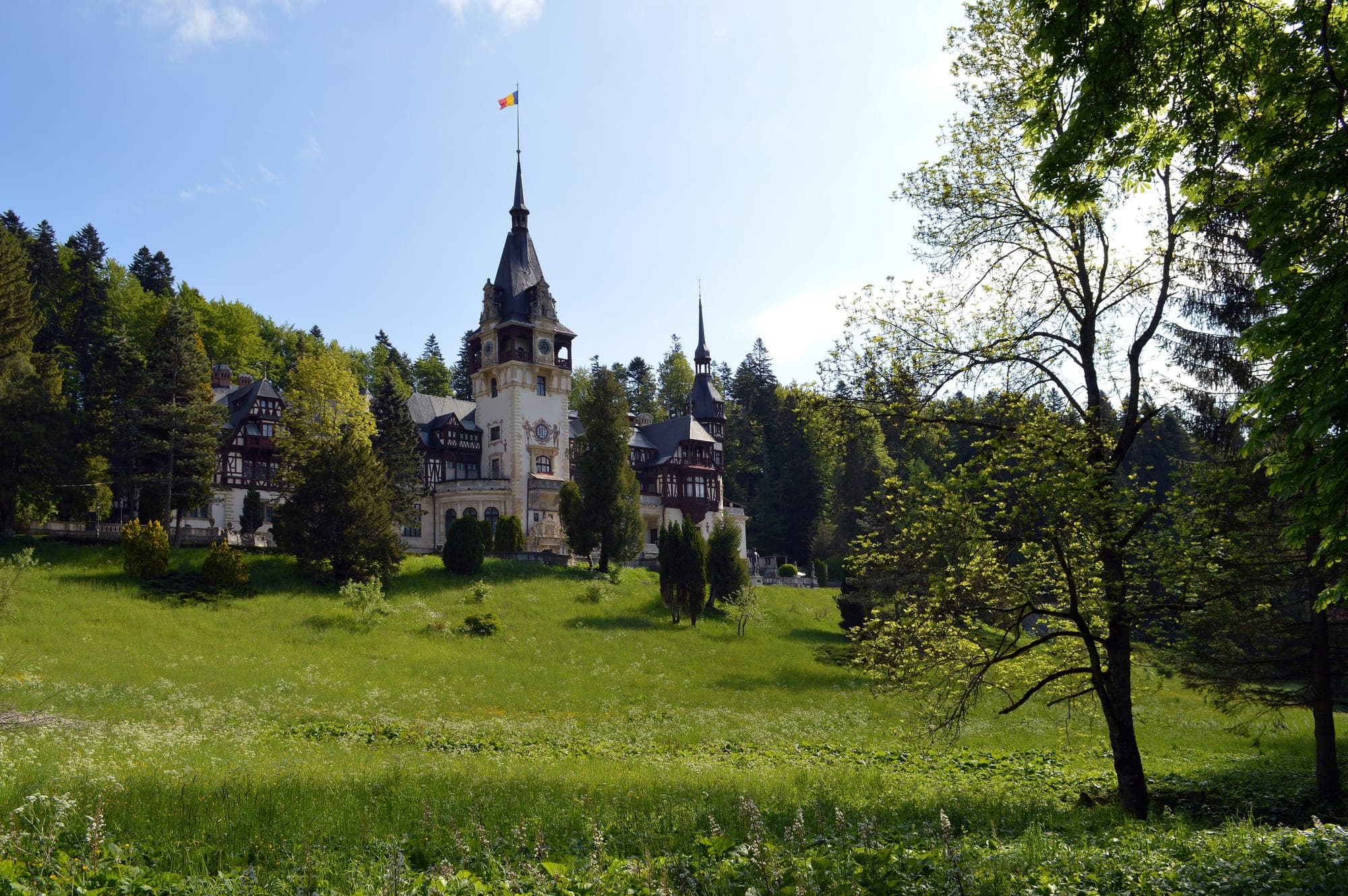Castelul la marginea pădurii de brad, văzut peste pajiștea din parc, primăvara