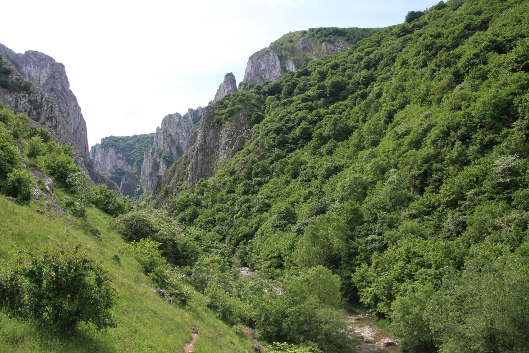La valle dell'Hășdate tra versanti verdi, con torri di calcare sullo sfondo e un sentiero a sinistra