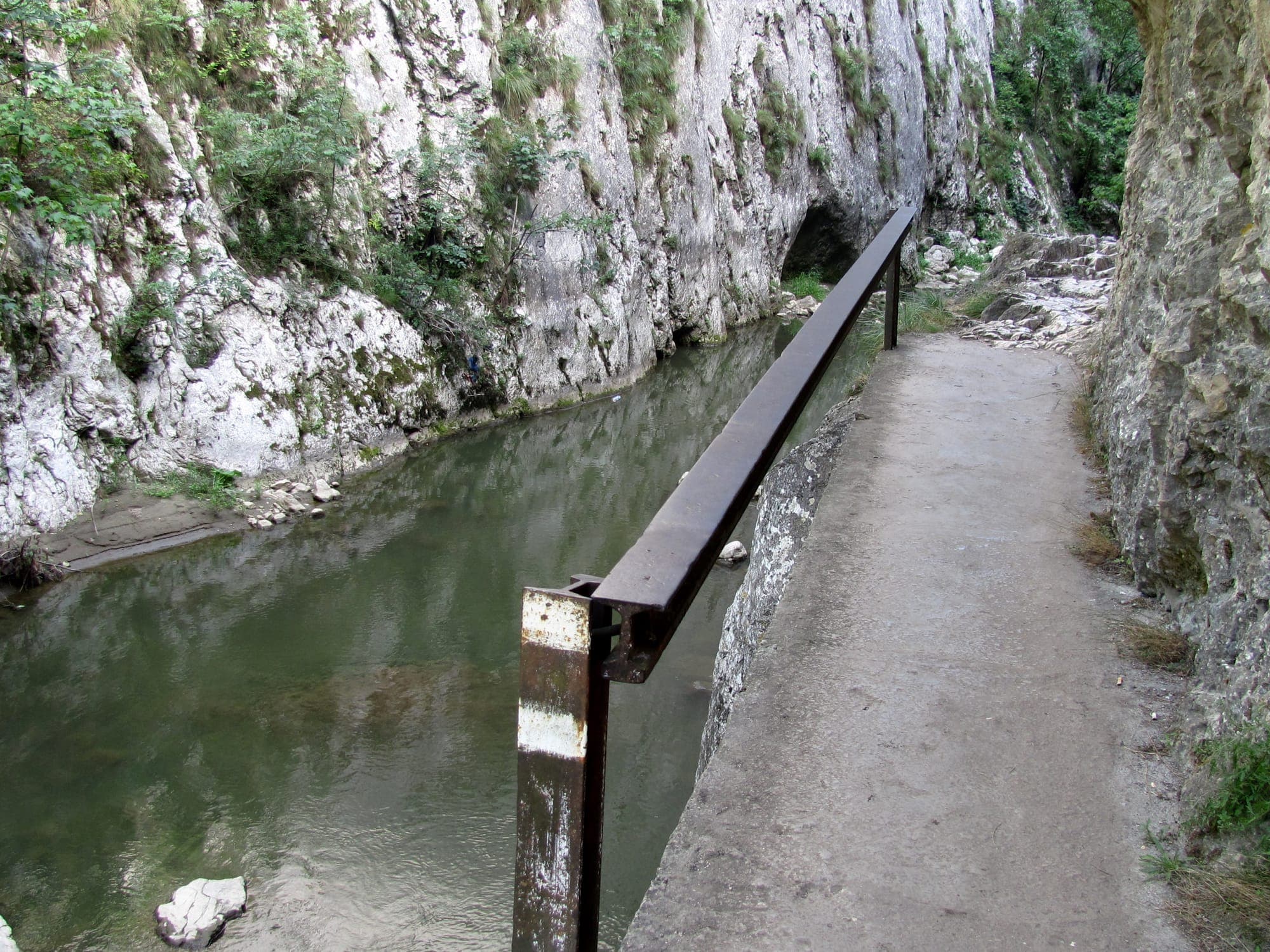 Il sentiero basso nella gola, con corrimano metallico, accanto all'acqua calma dell'Hășdate e pareti di calcare