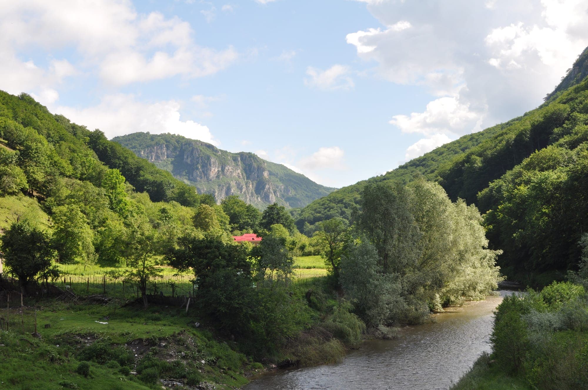 Râul Cerna printre versanți împăduriți, cu un perete de calcar în fundal, în Parcul Național Domogled–Valea Cernei