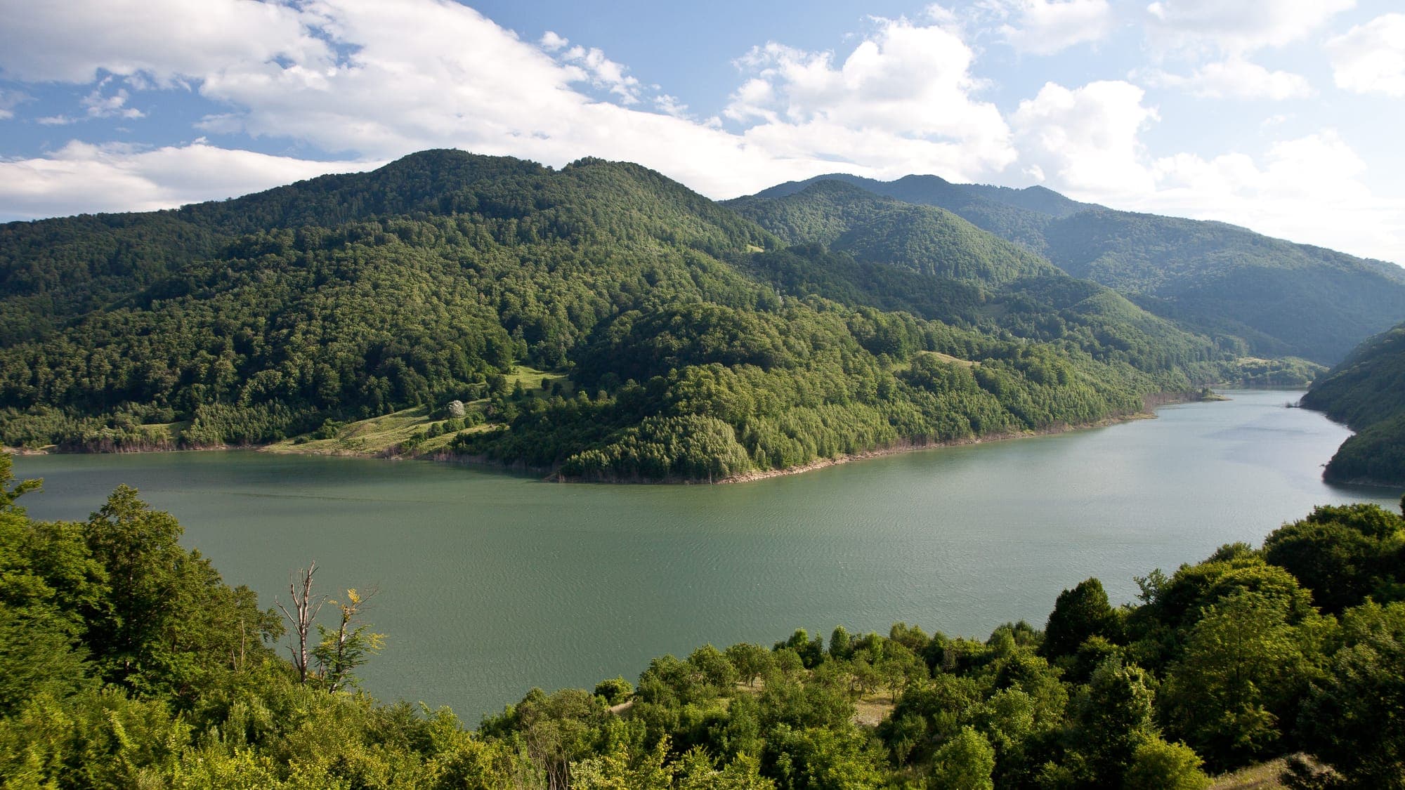 Lacul Siriu într-o zi de vară, cu versanți acoperiți de pădure deasă coborând până la apă și nori albi deasupra culmilor