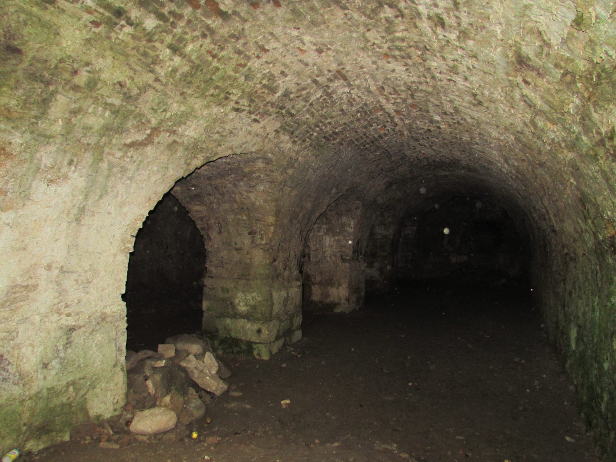 Le cantine a volta in mattoni e pietra, resti della casa principesca di Gheorghe Ștefan