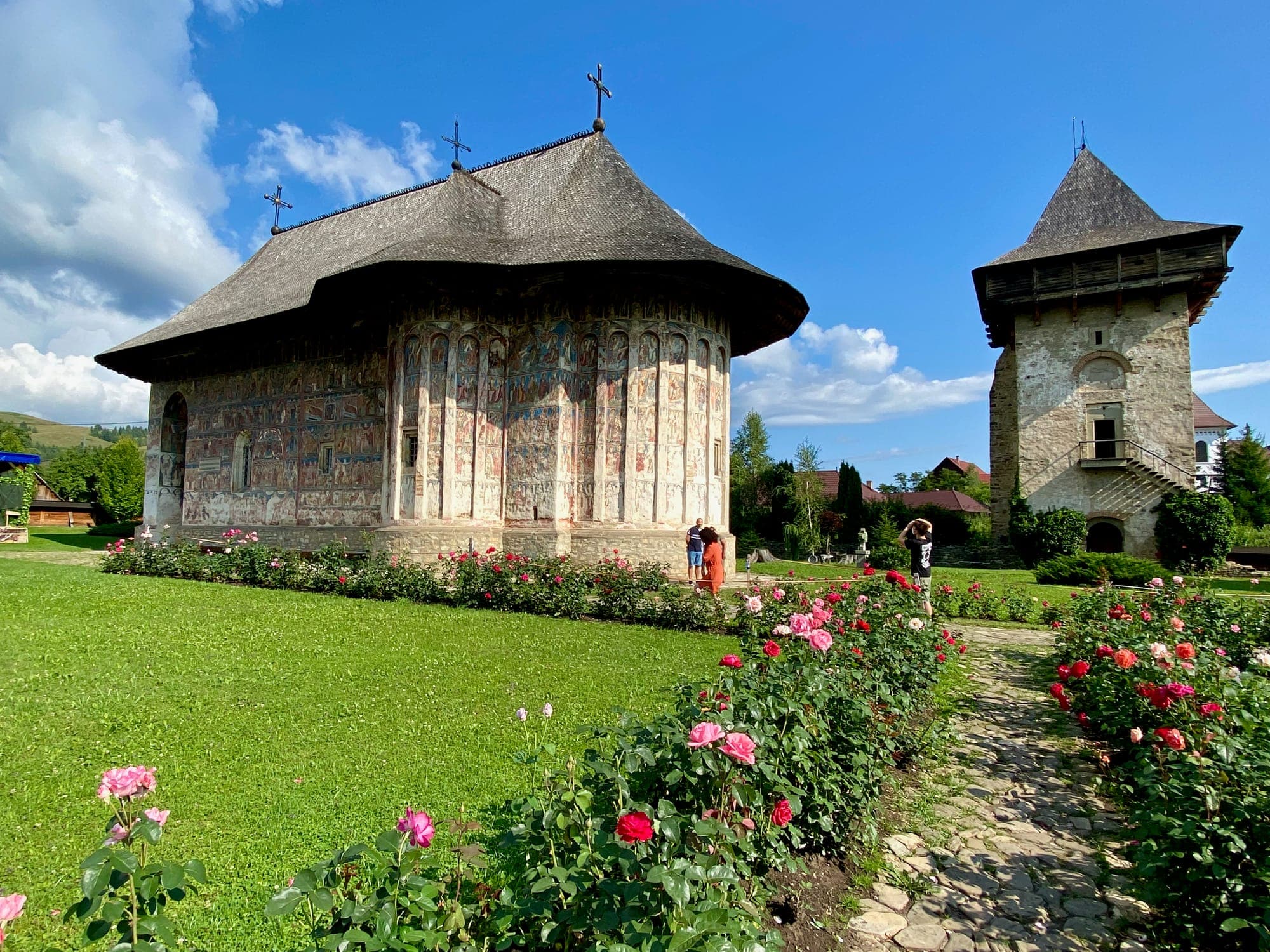 Biserica pictată văzută dinspre altar, cu acoperișul larg de șiță, între straturi de trandafiri, și turnul de piatră al lui Vasile Lupu în dreapta