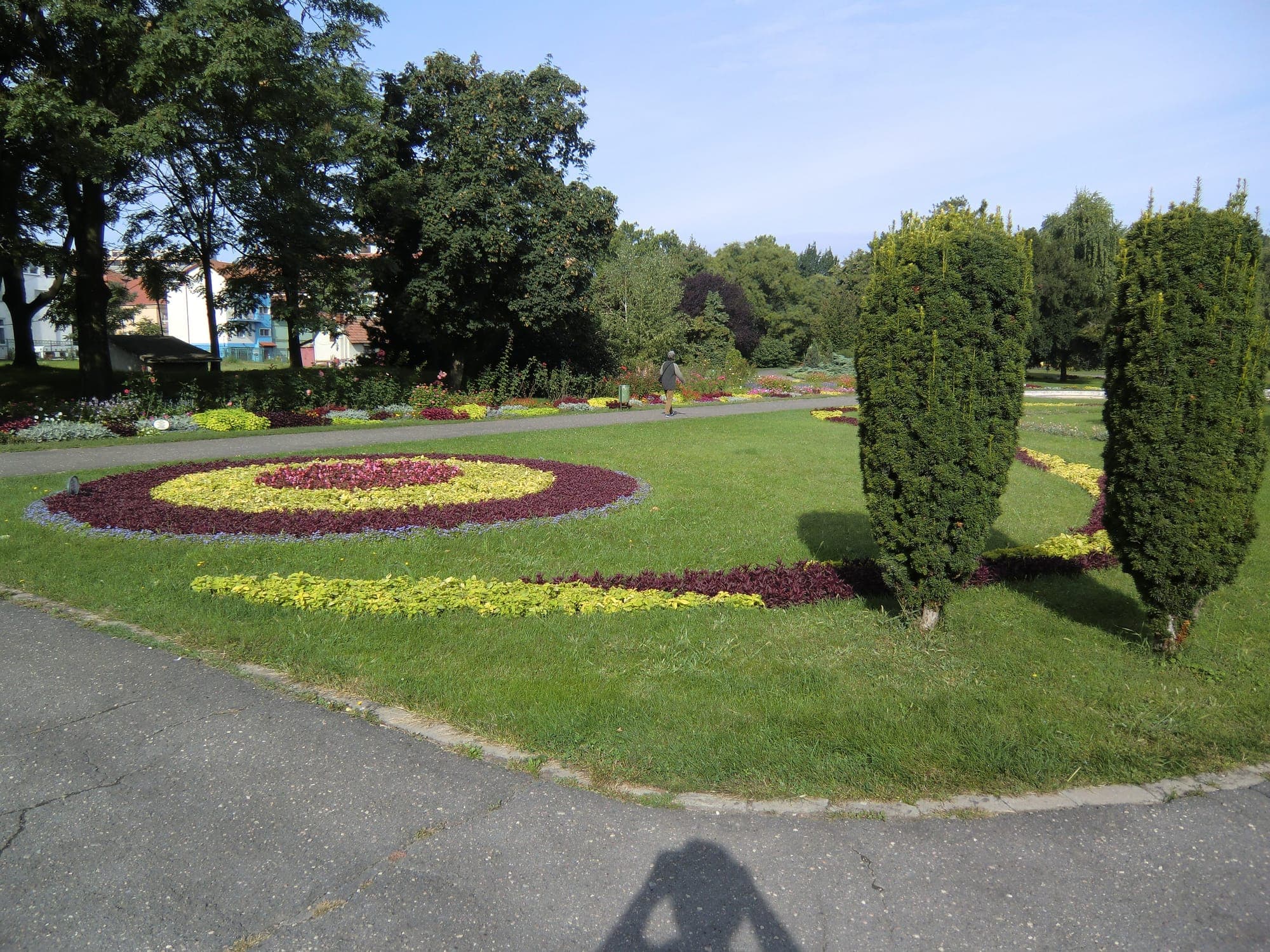 A spiral flower bed in yellow and burgundy on the lawn, with two thujas in the foreground and trees behind