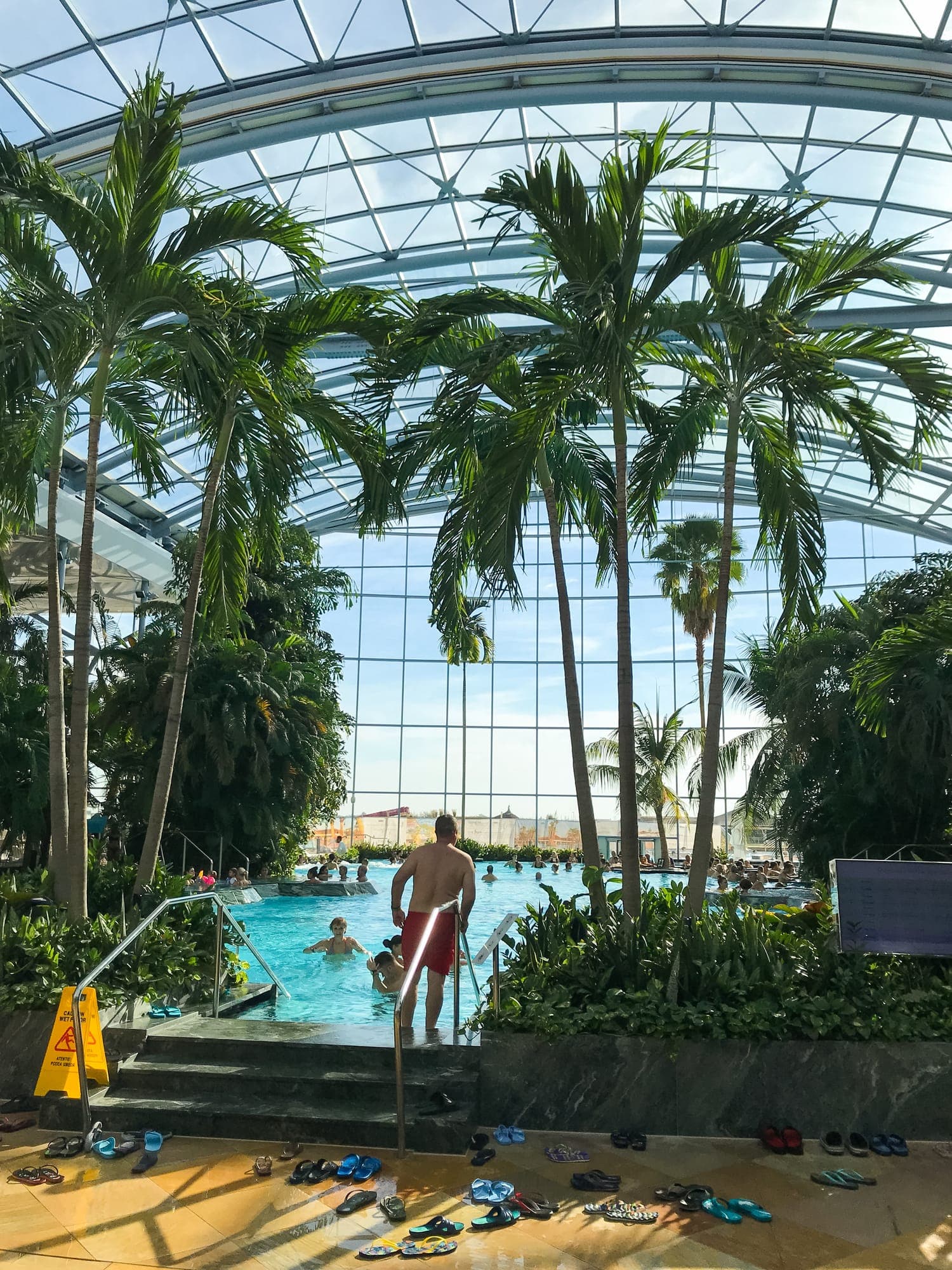 Palmieri înalți în jurul piscinei cu apă termală din zona The Palm, sub cupola de sticlă și oțel