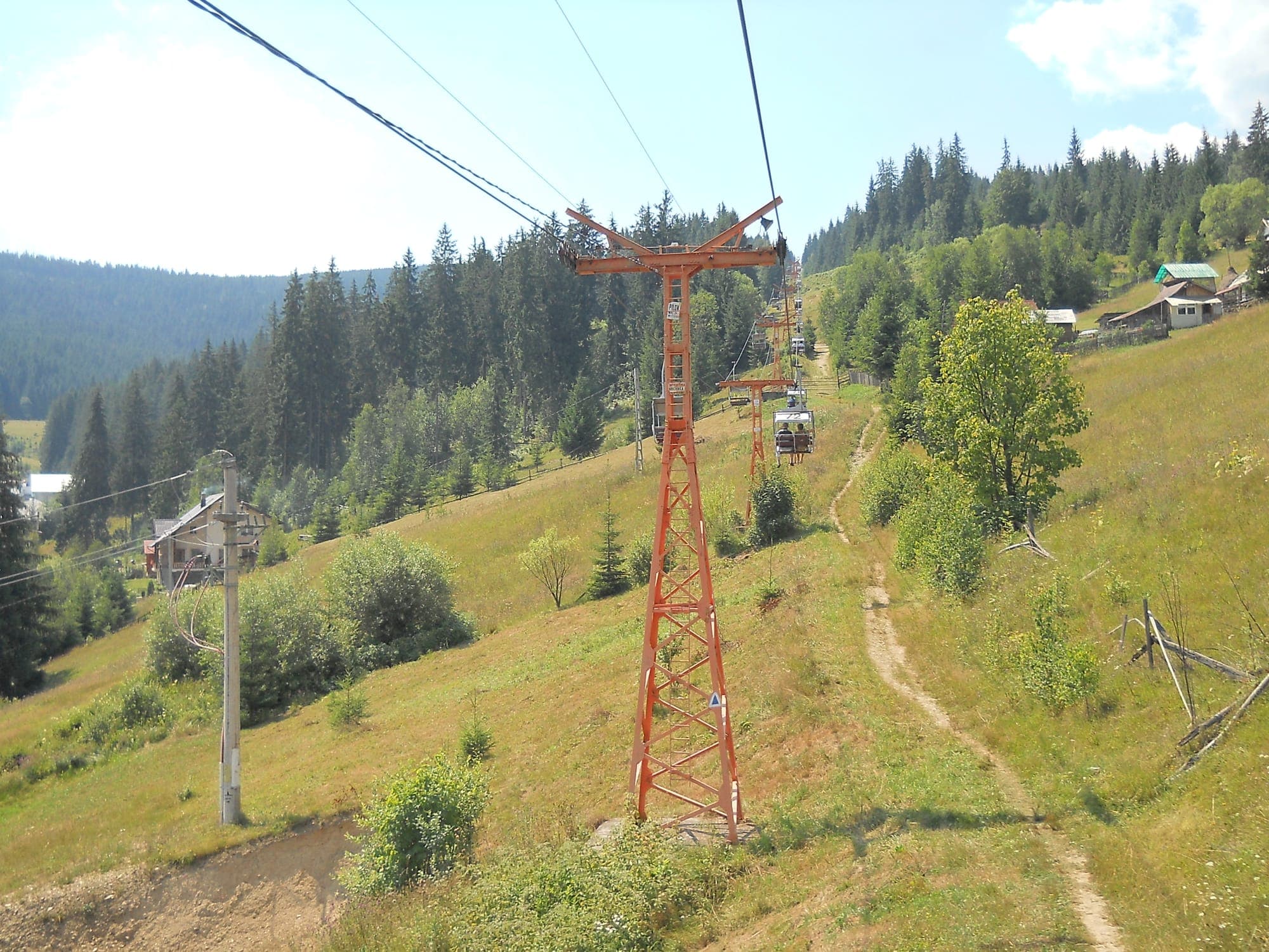 The orange pylons of the chairlift climbing a green meadow towards the fir forest on Dealu Negru, in summer