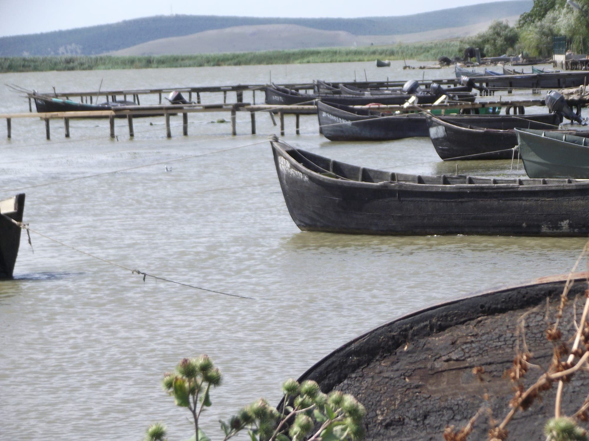 Lotci negre de pescari legate în portul din Sarichioi, cu pontoane de lemn, stuf și dealuri line pe malul opus